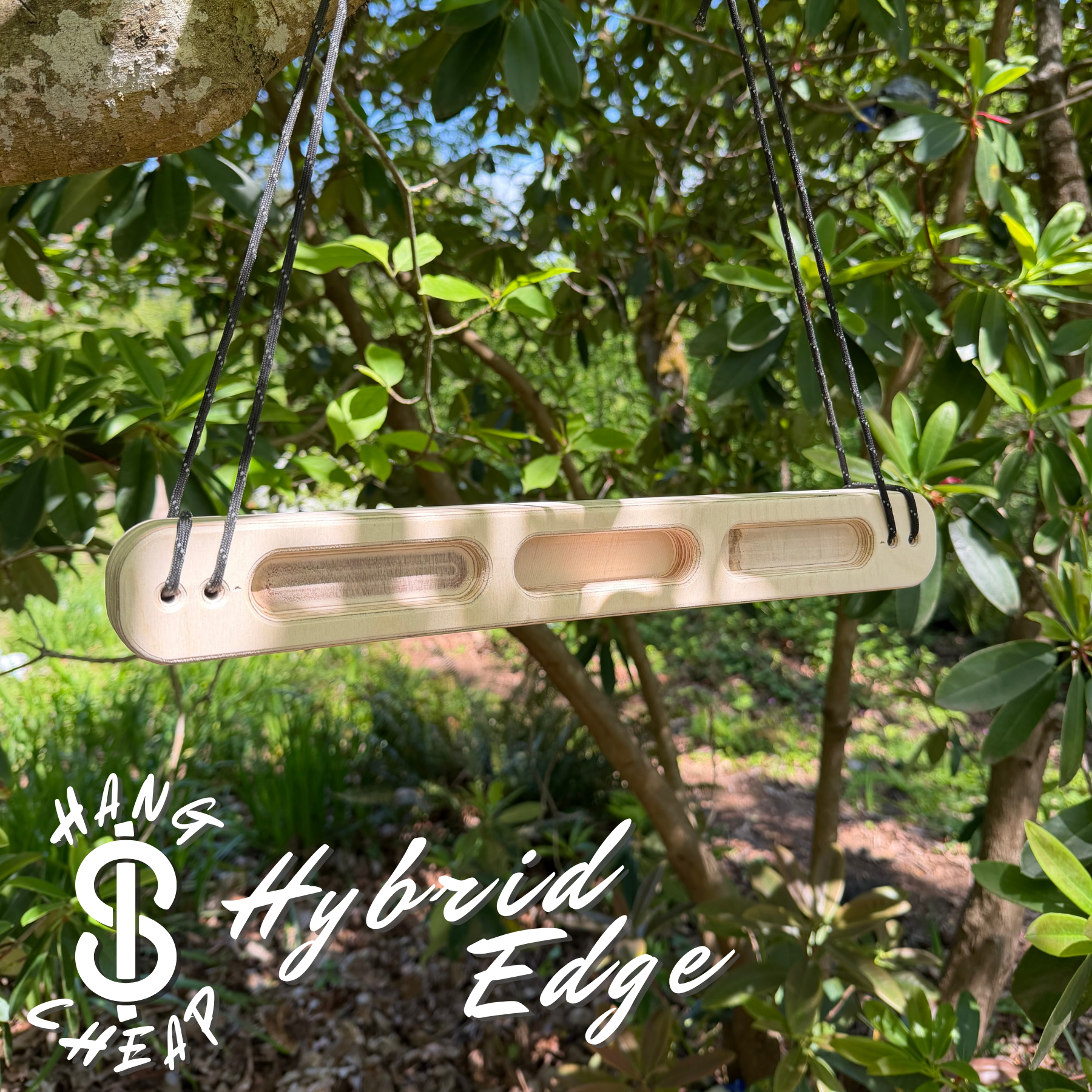 Hybrid Edge
