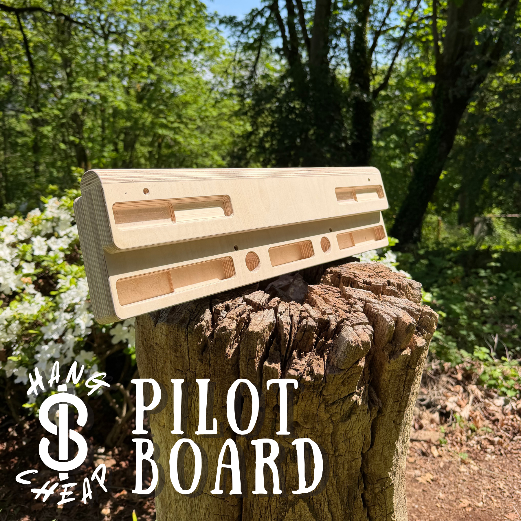 Pilot Board